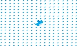 Volg Linga Webdesign op Twitter