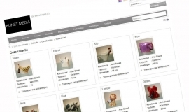Opgeleverd: Webshop Kunst Media
